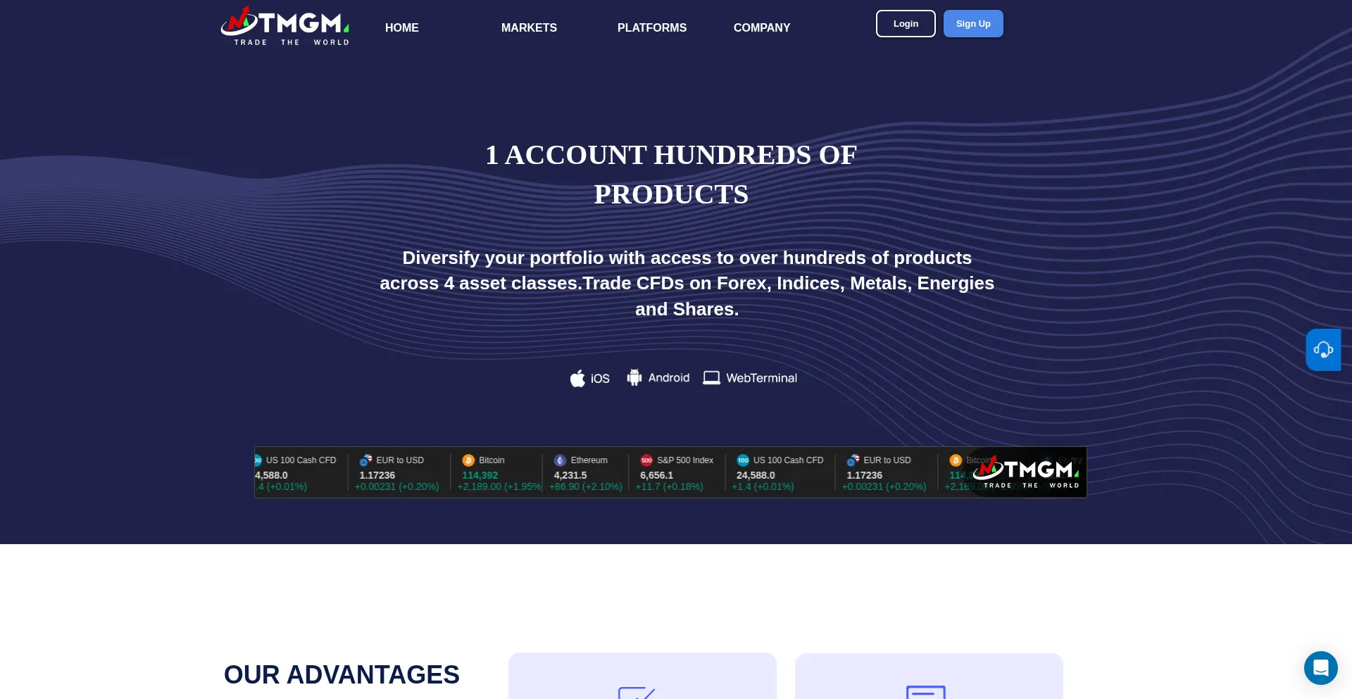 Tmgmortgage.com Screenshot