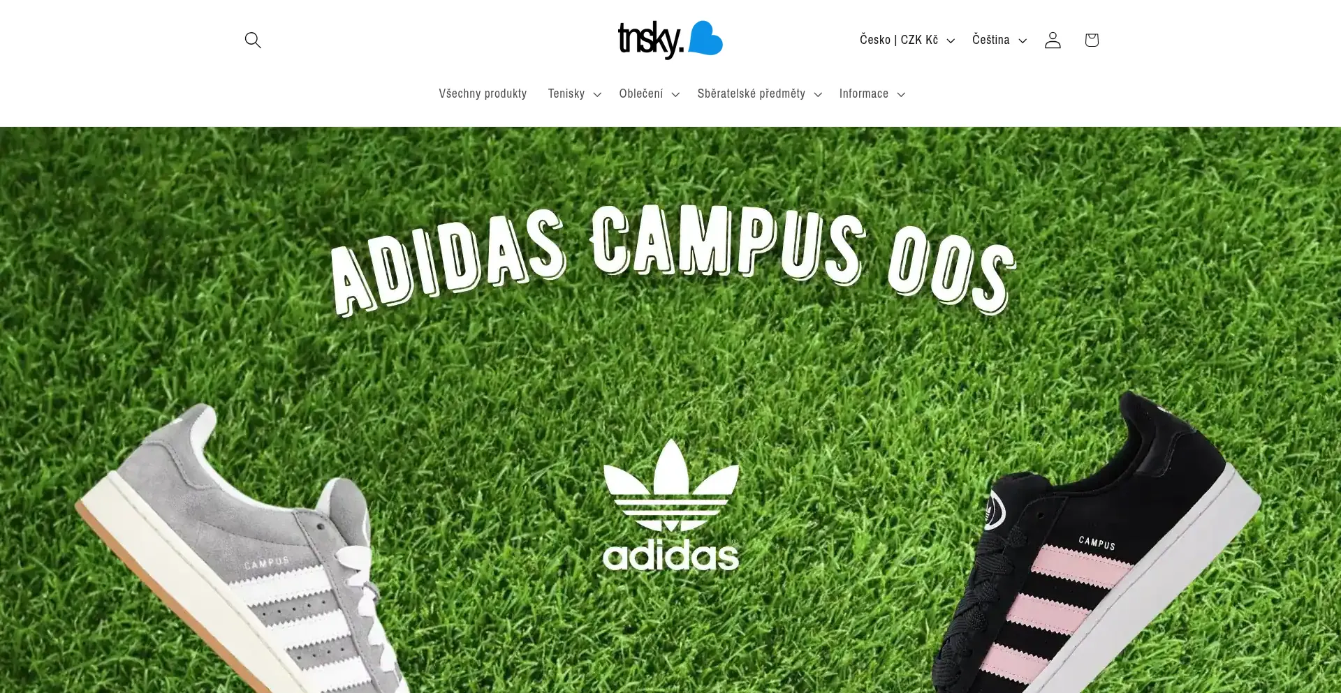 Website screenshot of Tnsky.cz