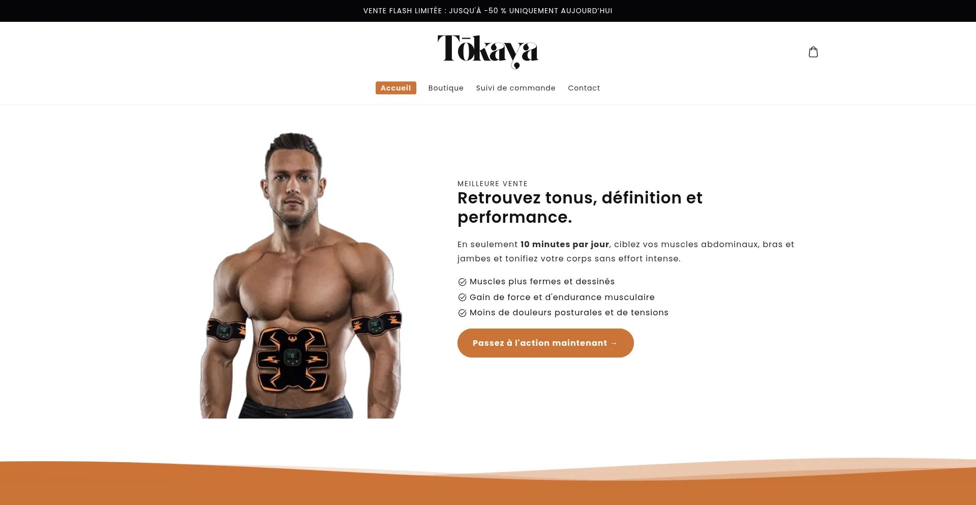 Website screenshot of Tokaya.fr