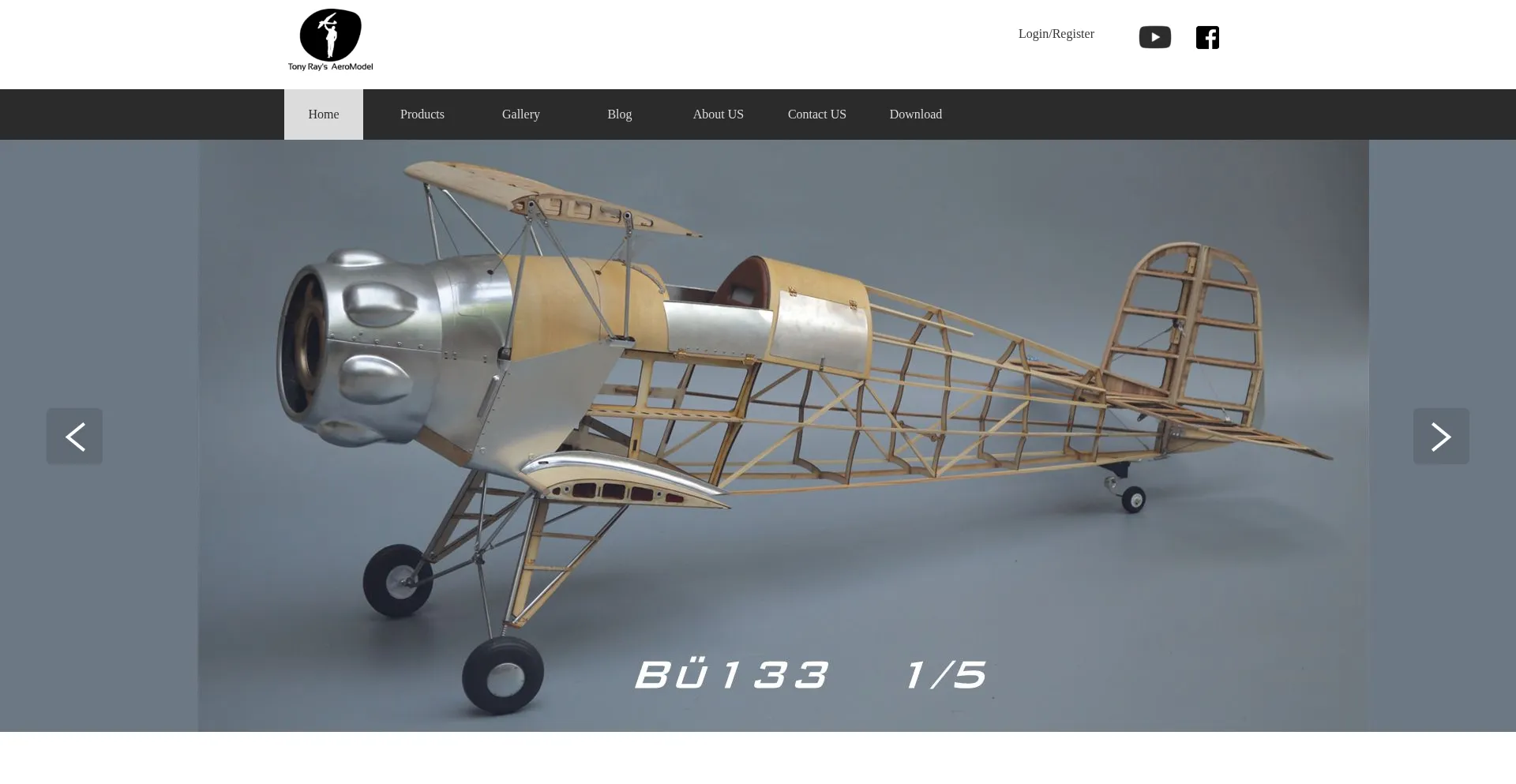 Website screenshot of Tonyraymodels.com