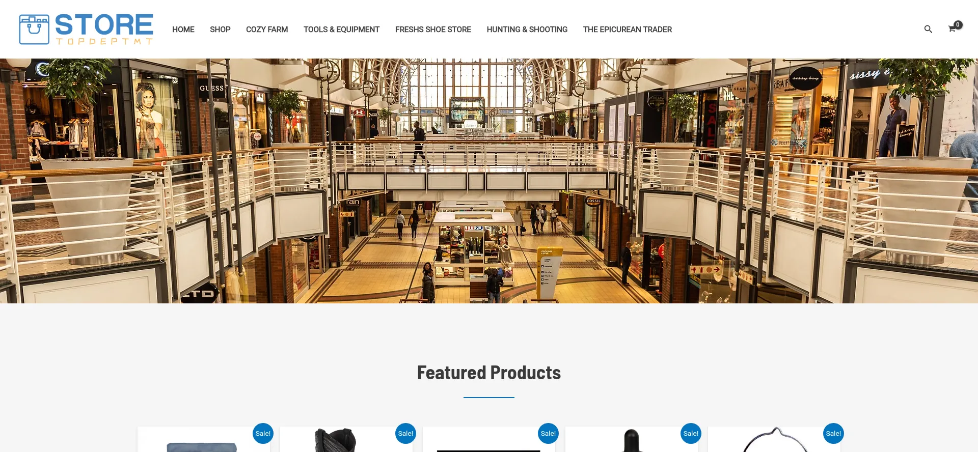 Website screenshot of Topdeptmtstore.com