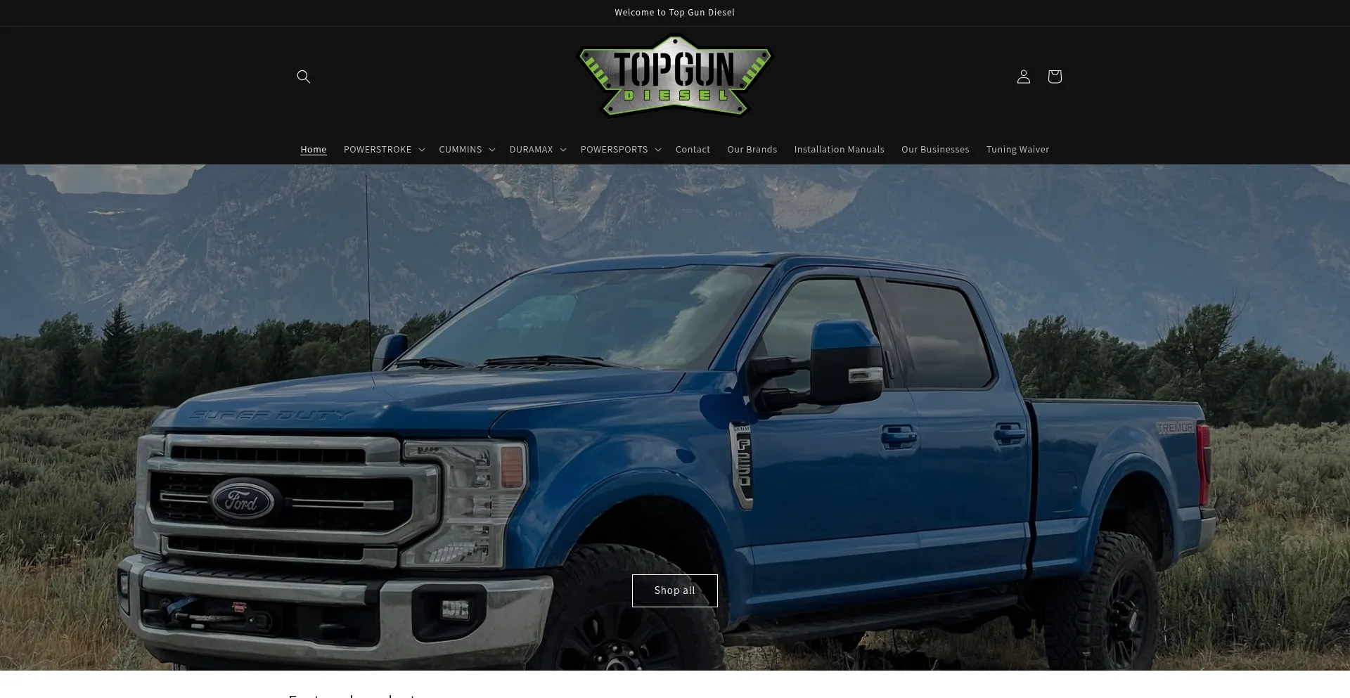 Website screenshot of Topgundieselperformance.com