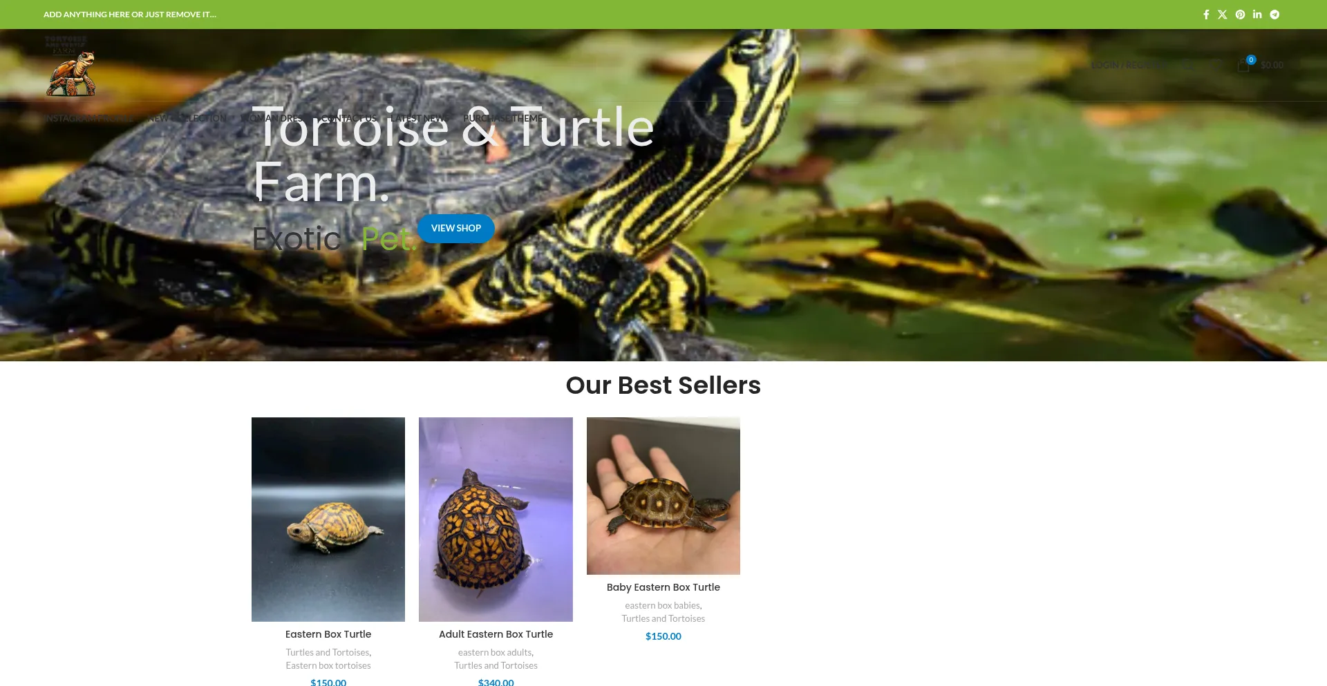 Tortoiseandturtlefarm.com