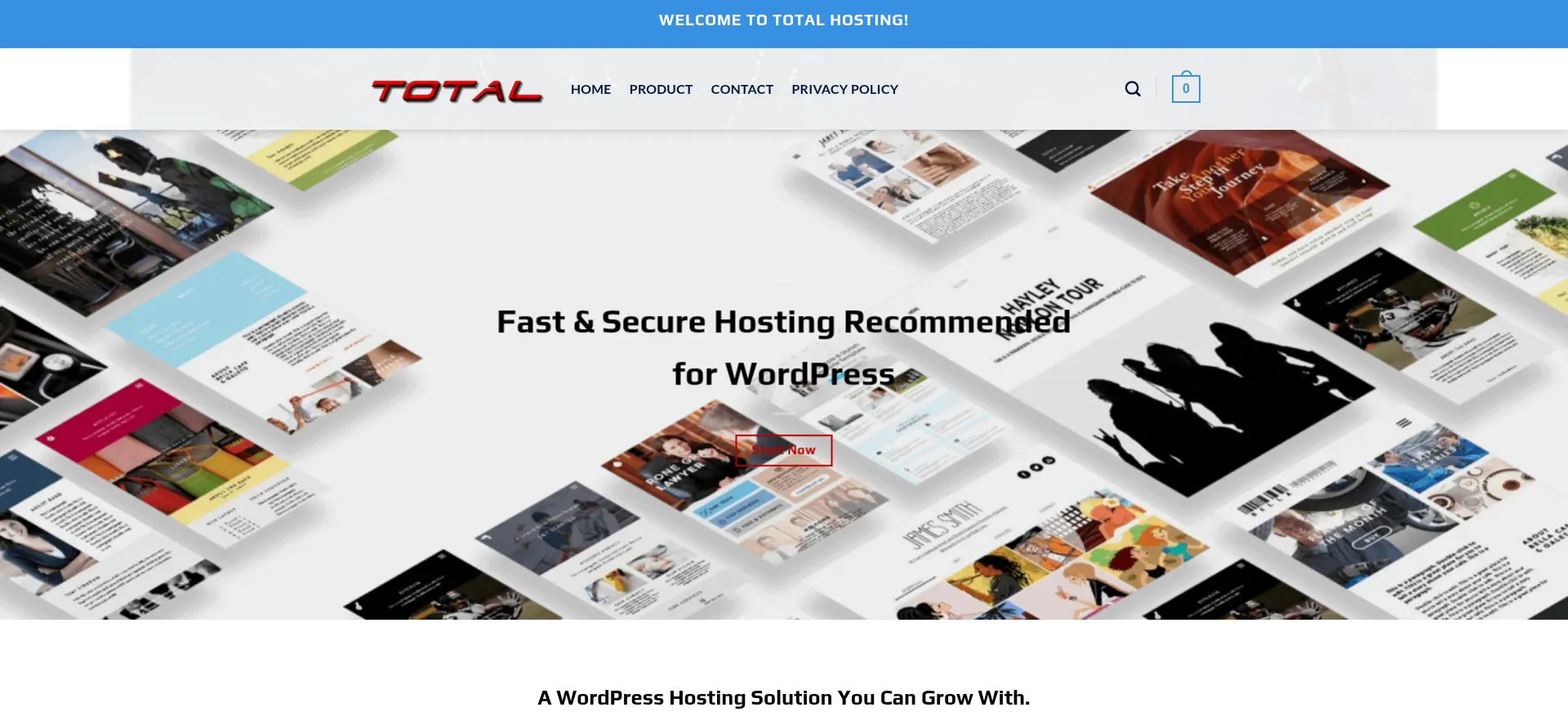 Totalhost.site