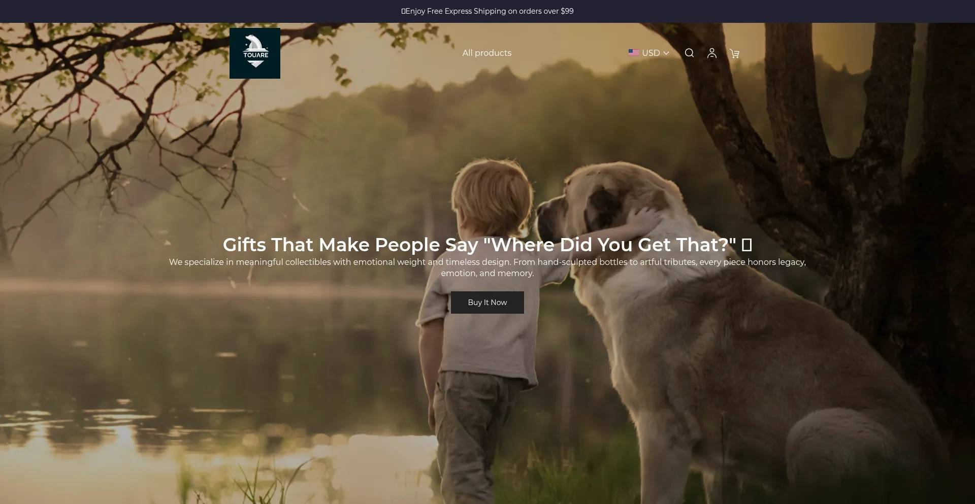 Website screenshot of Touare.com