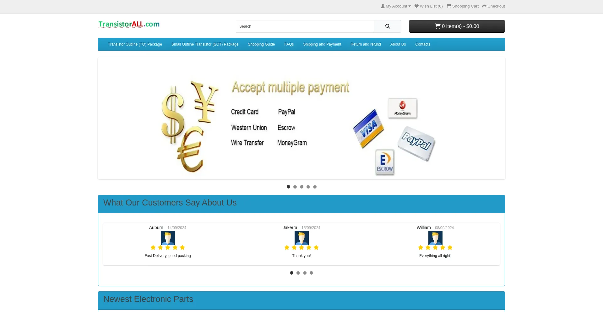 Website screenshot of Transistorall.com