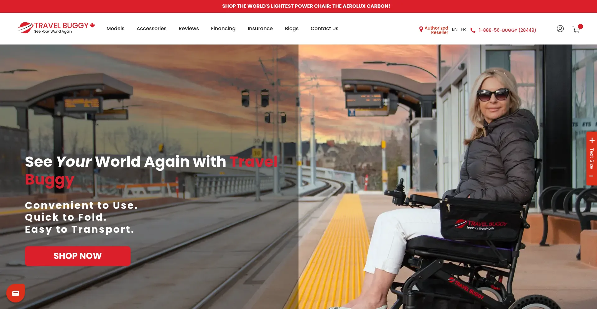 Website screenshot of Travelbuggy.com