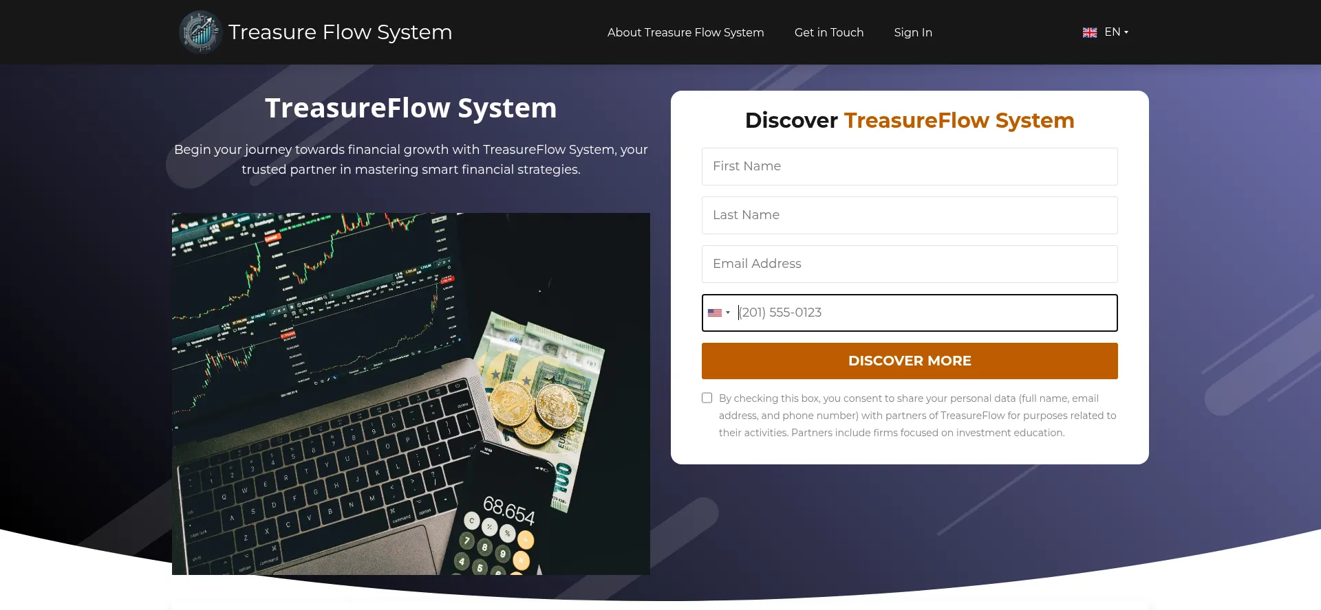 Website screenshot of Treasure-flow-system.com