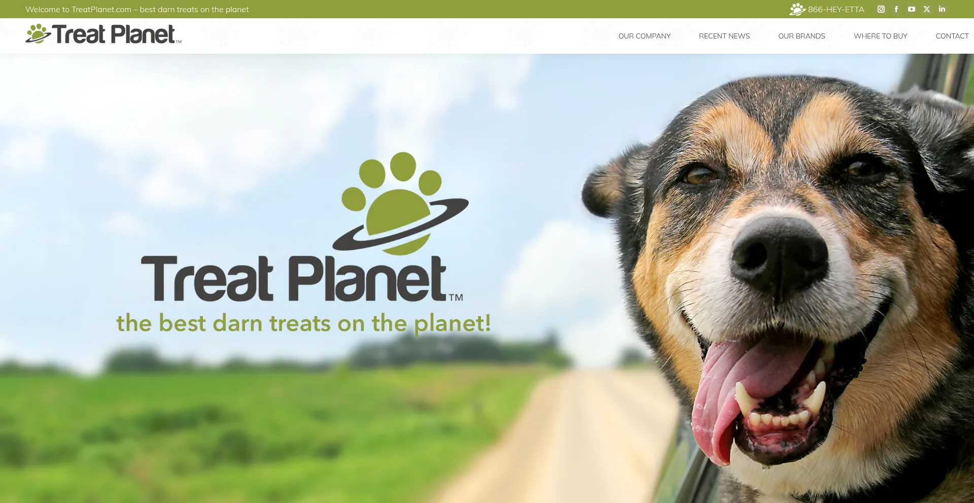 Treatplanet.com est-il Sûr et Fiable ?