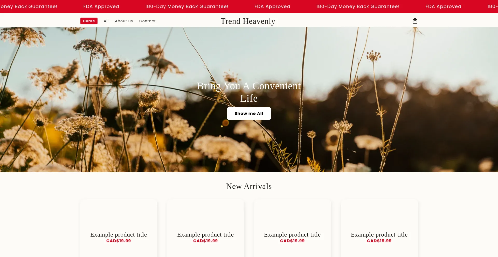 Trendheavenly.com est-il Sûr et Fiable ?