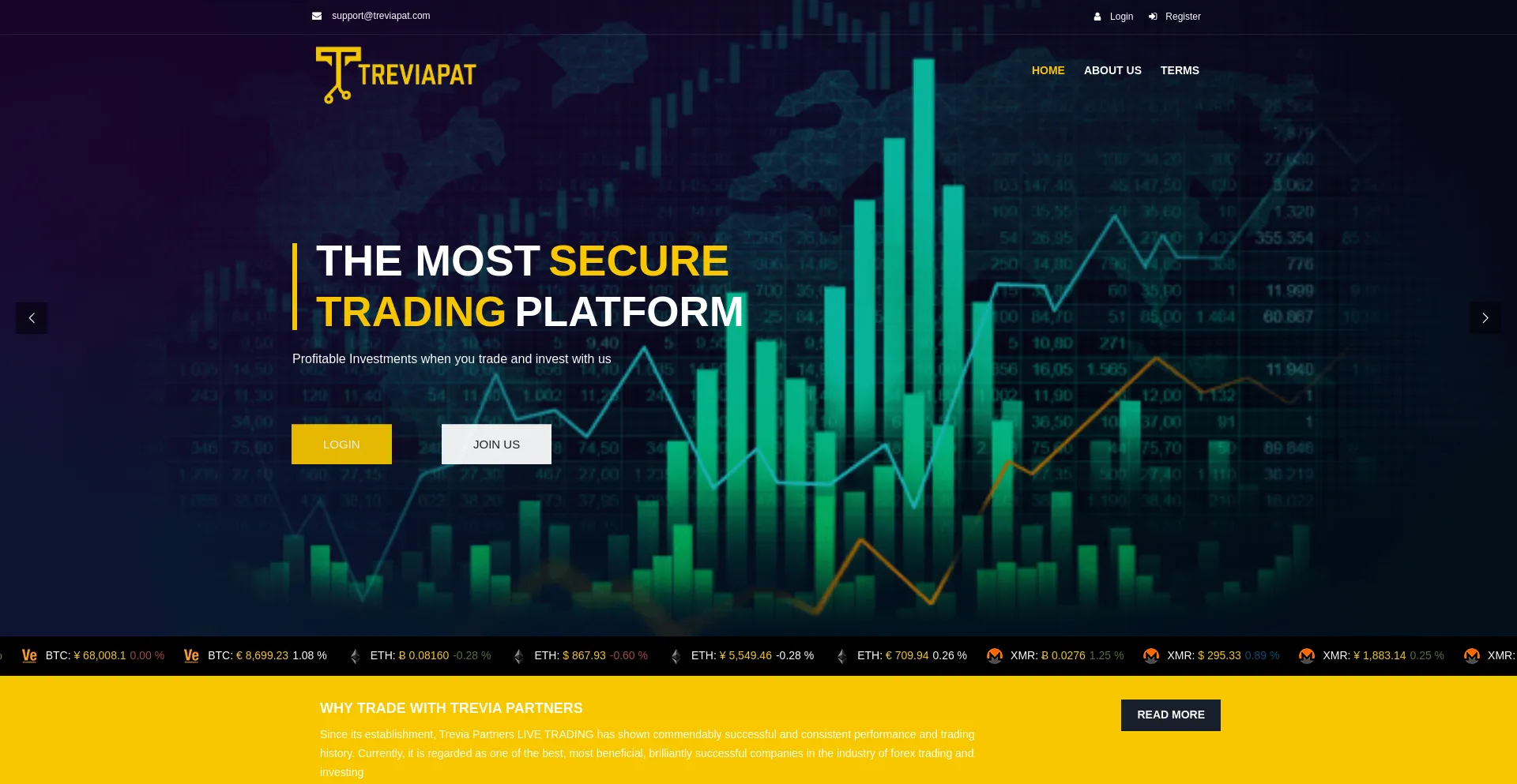 Website screenshot of Treviapat.com