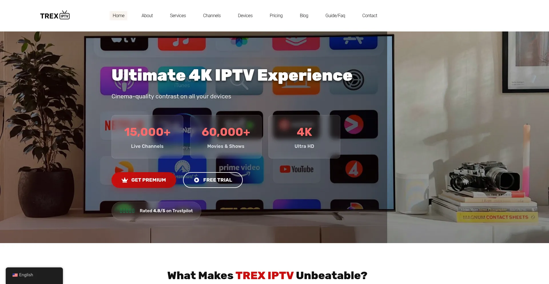 Website screenshot of Trex-iptv.net