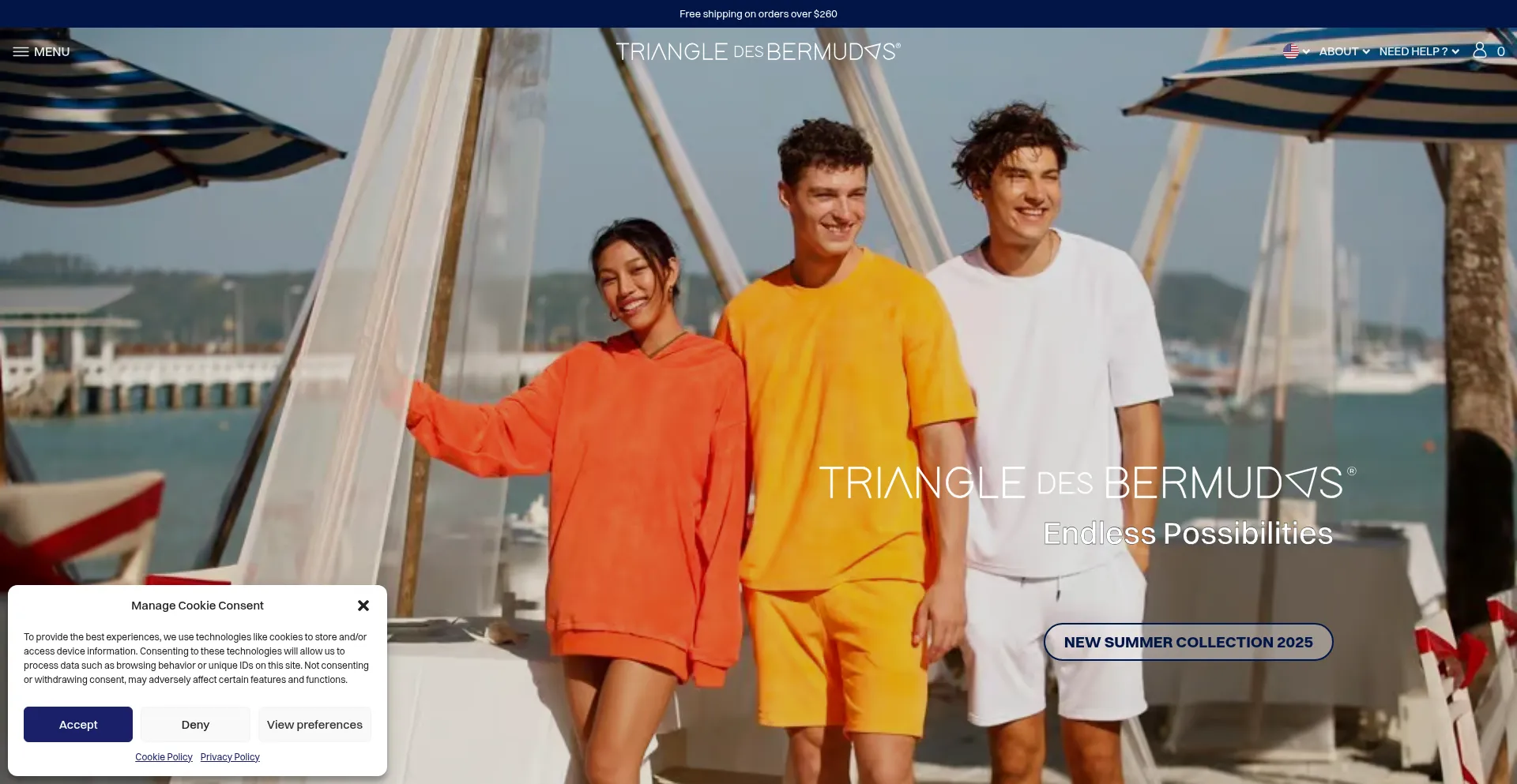 Website screenshot of Triangle-des-bermudes.com