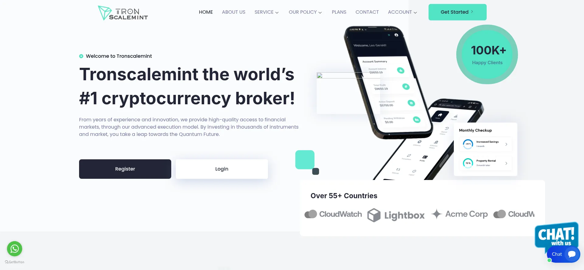 Website screenshot of Tronscalemint.com