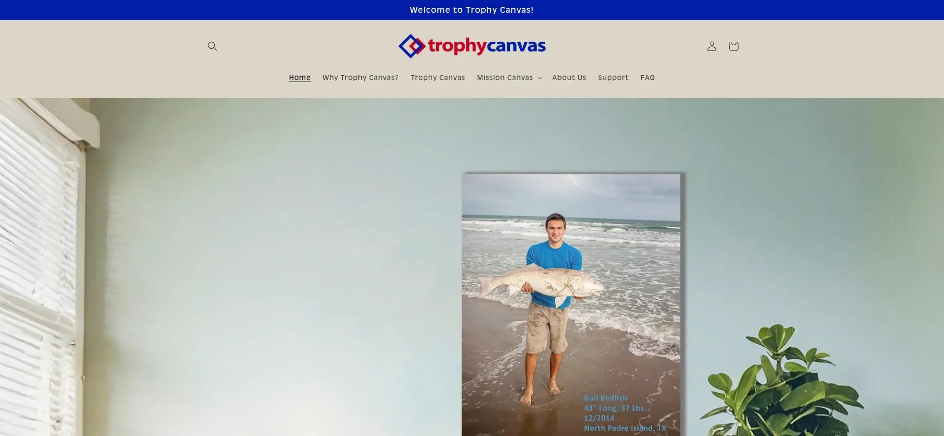 Trophycanvas.com