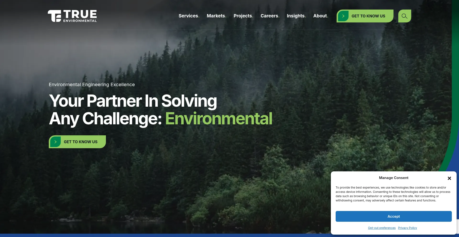 True-environmental.com
