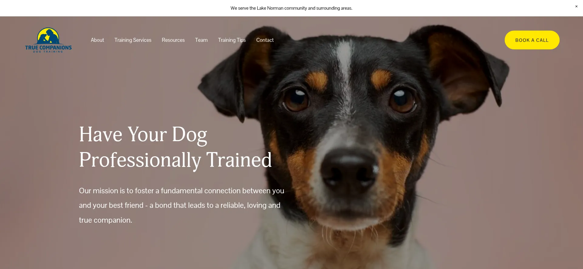 Truecompanionsdogtraining.com