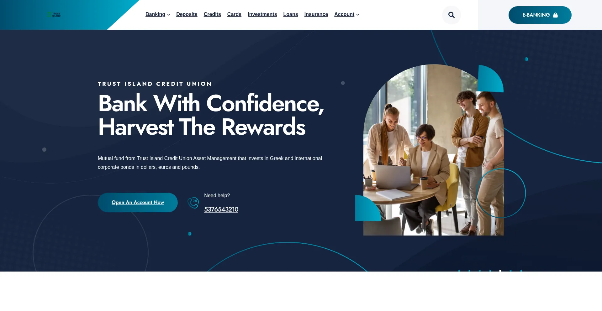 Website screenshot of Trustislandcredit.com