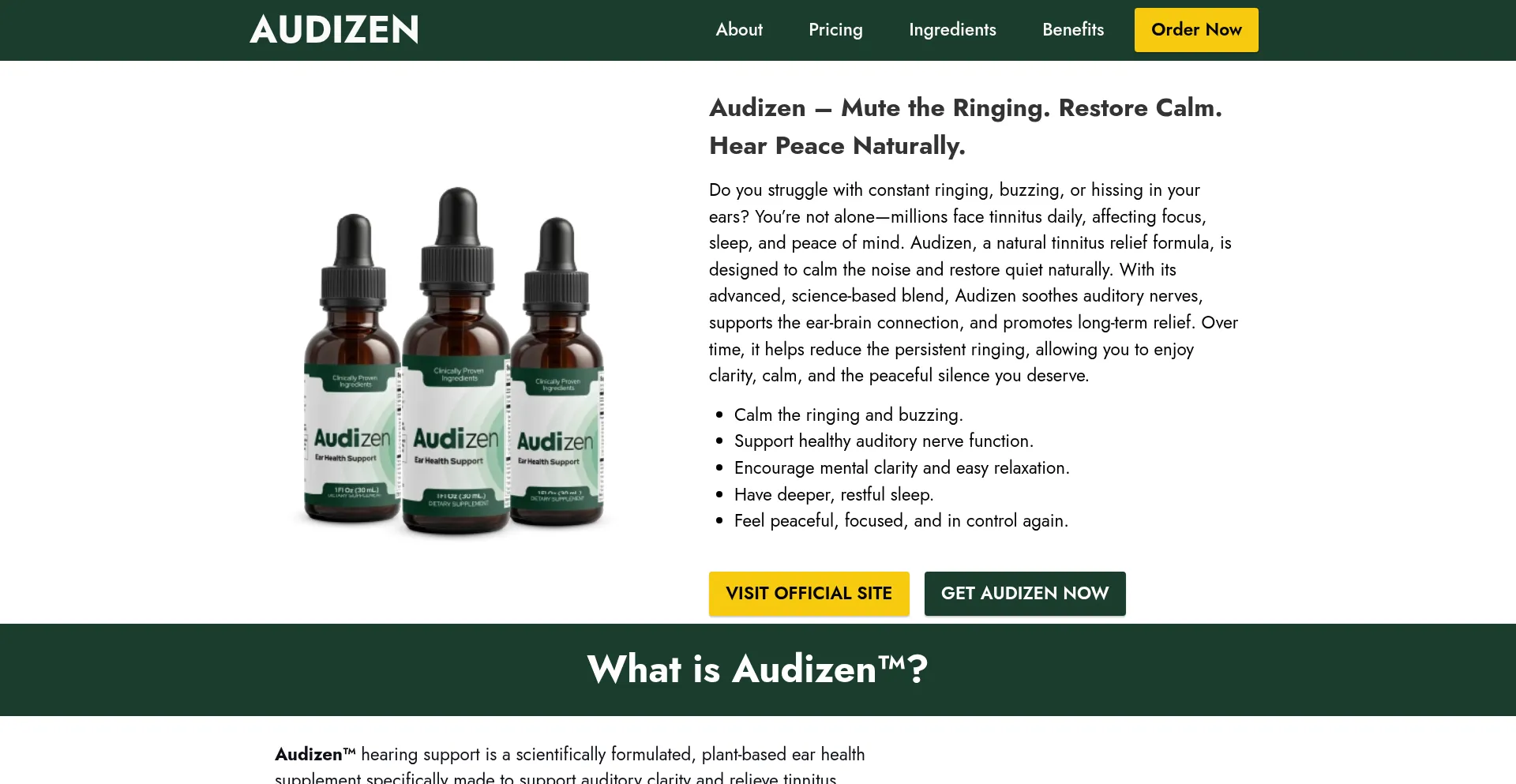 Try-audizen.com