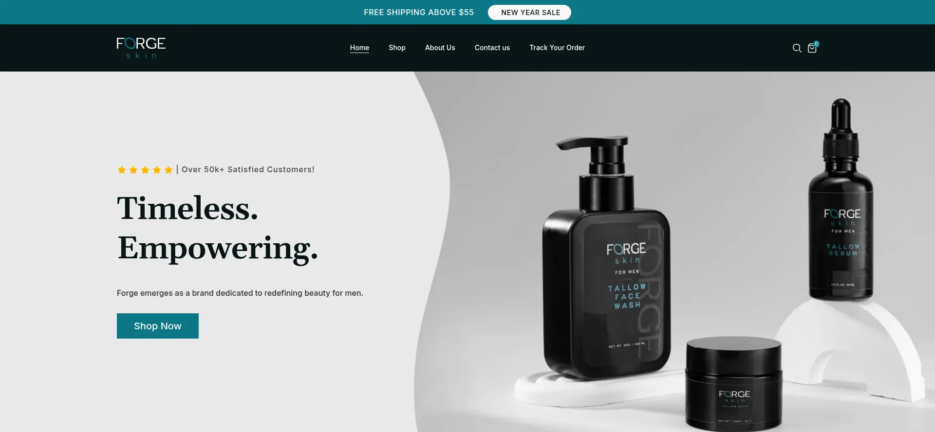 Website screenshot of Try-forge.com