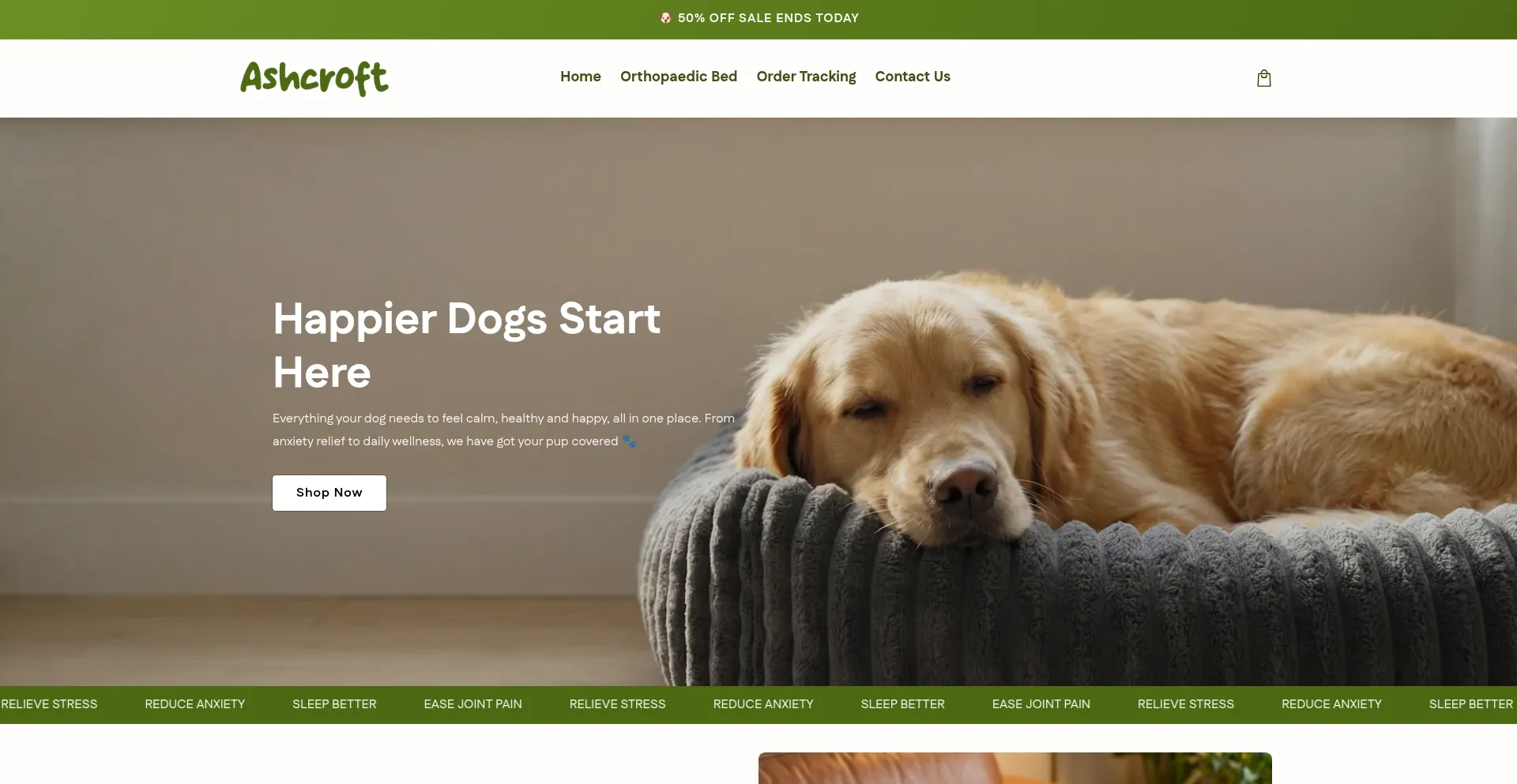 Tryashcroft.com