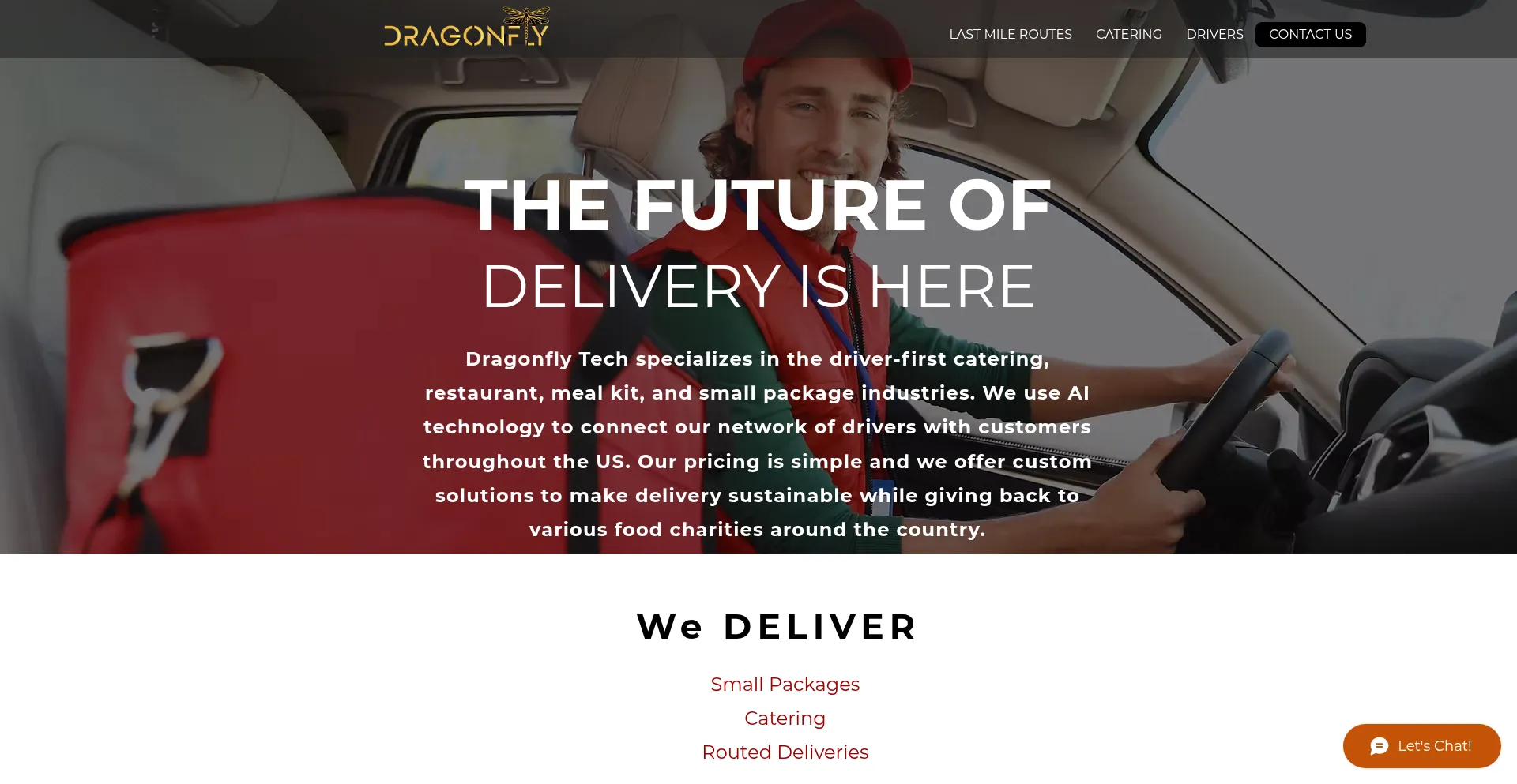 Website screenshot of Trydragonfly.com