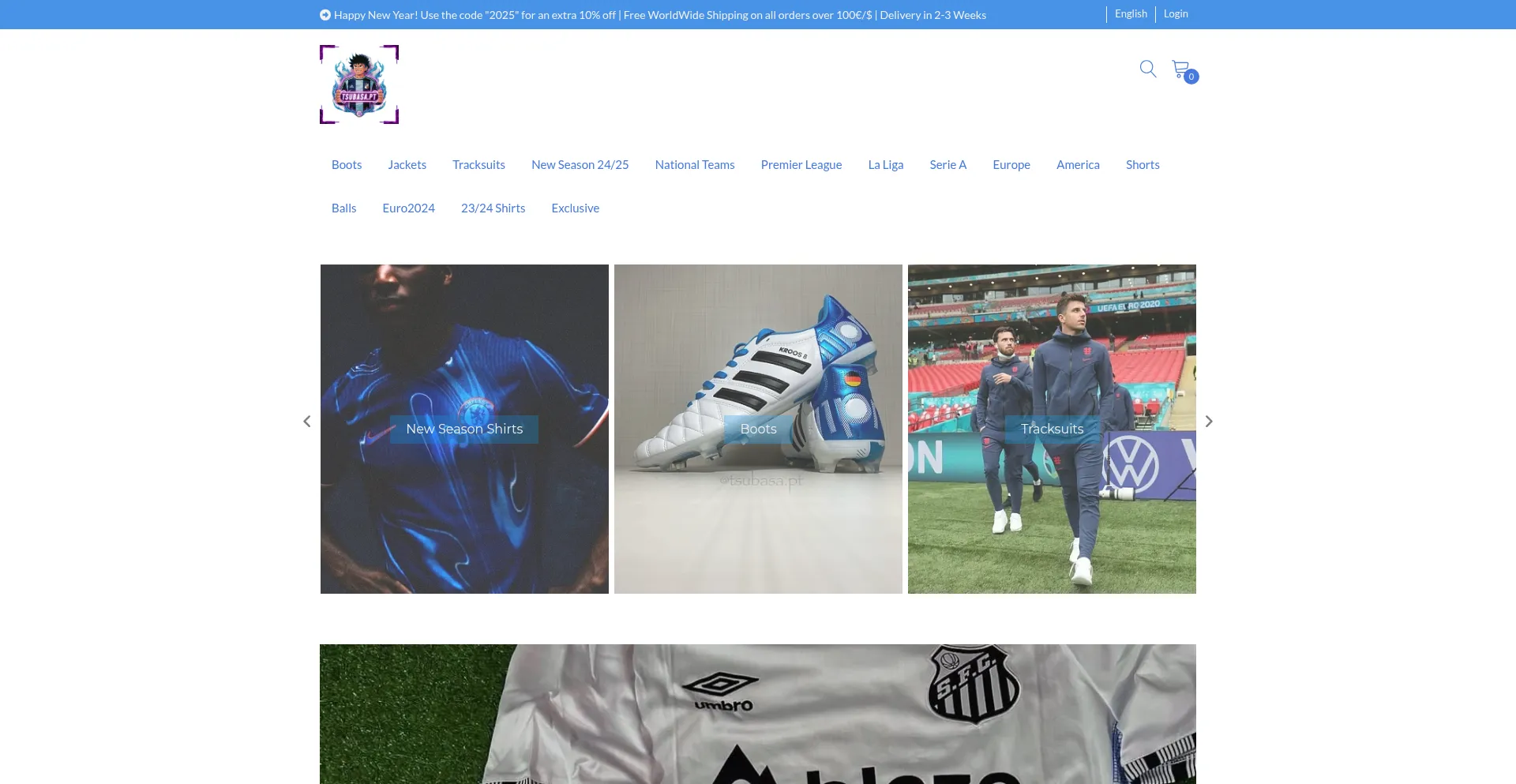 Website screenshot of Tsubasapt.com