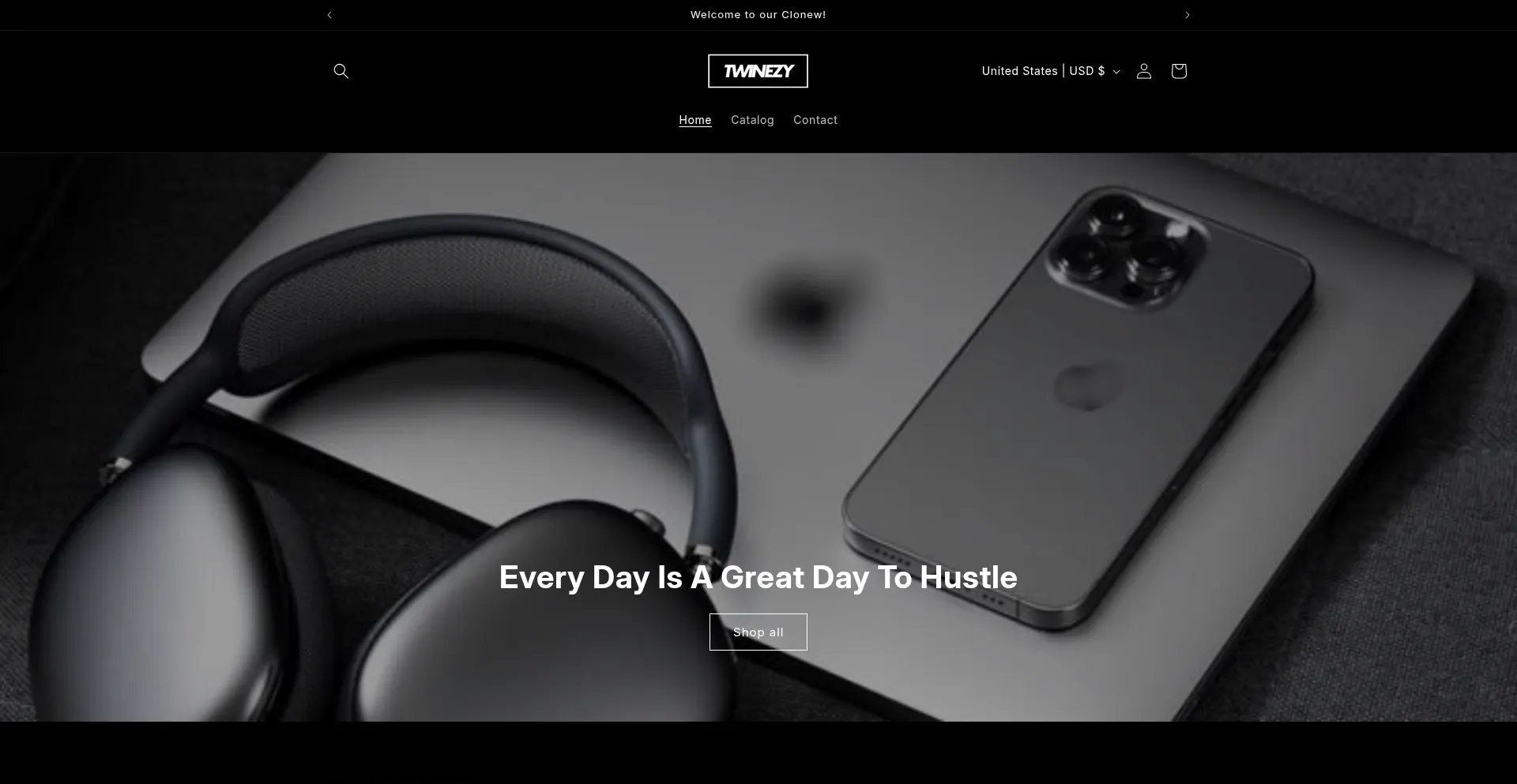 Website screenshot of Twinezy.store