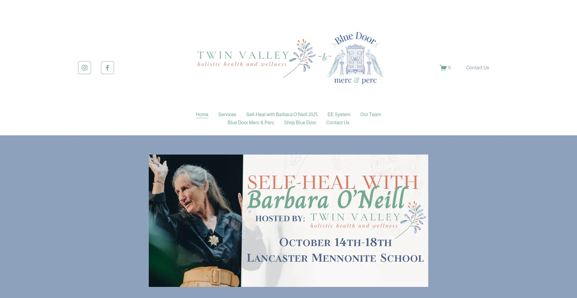 Website screenshot of Twinvalleyhealthandwellness.com
