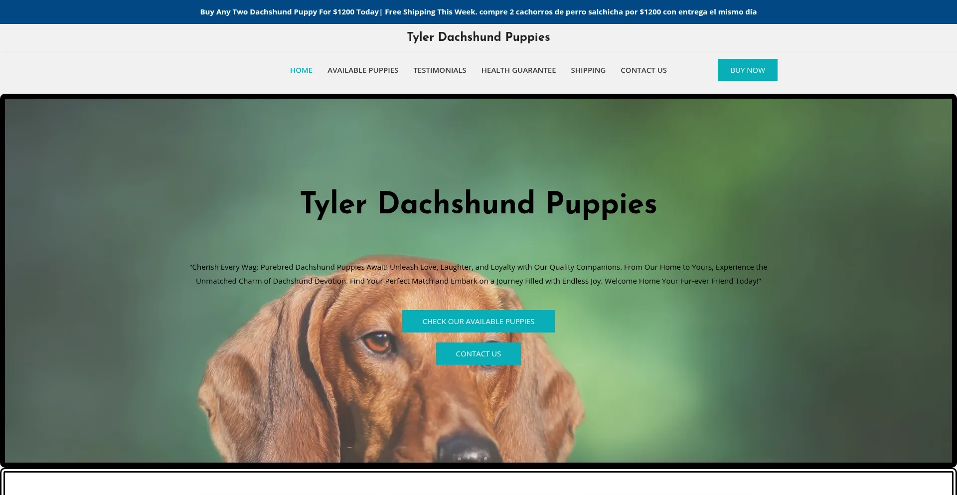 Website screenshot of Tylerdachsundpuppies.com