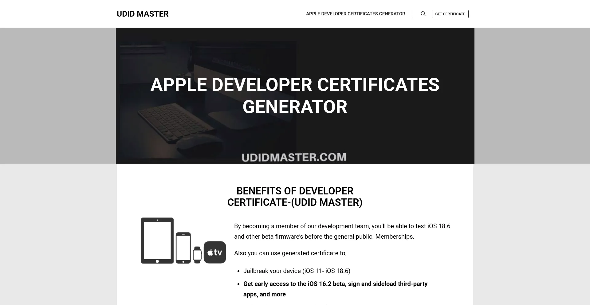 Website screenshot of Udidmaster.com