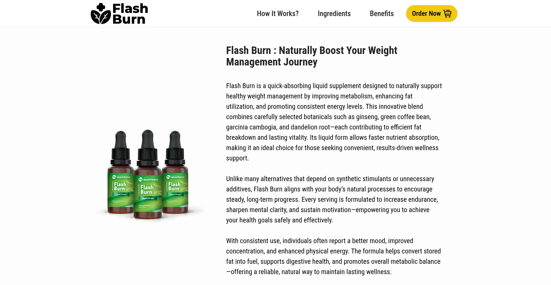 Us-flashbrn.com