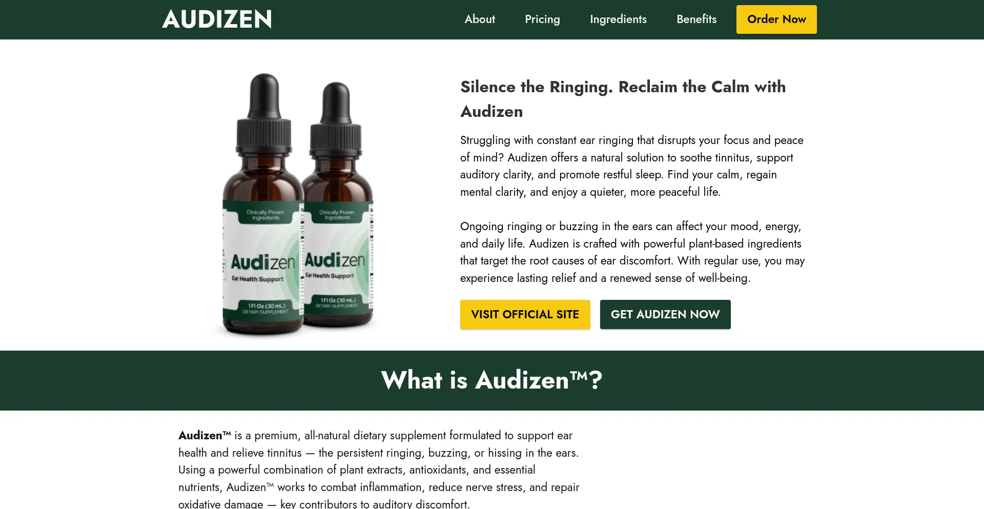 Website screenshot of Us-us-us-audizen.com