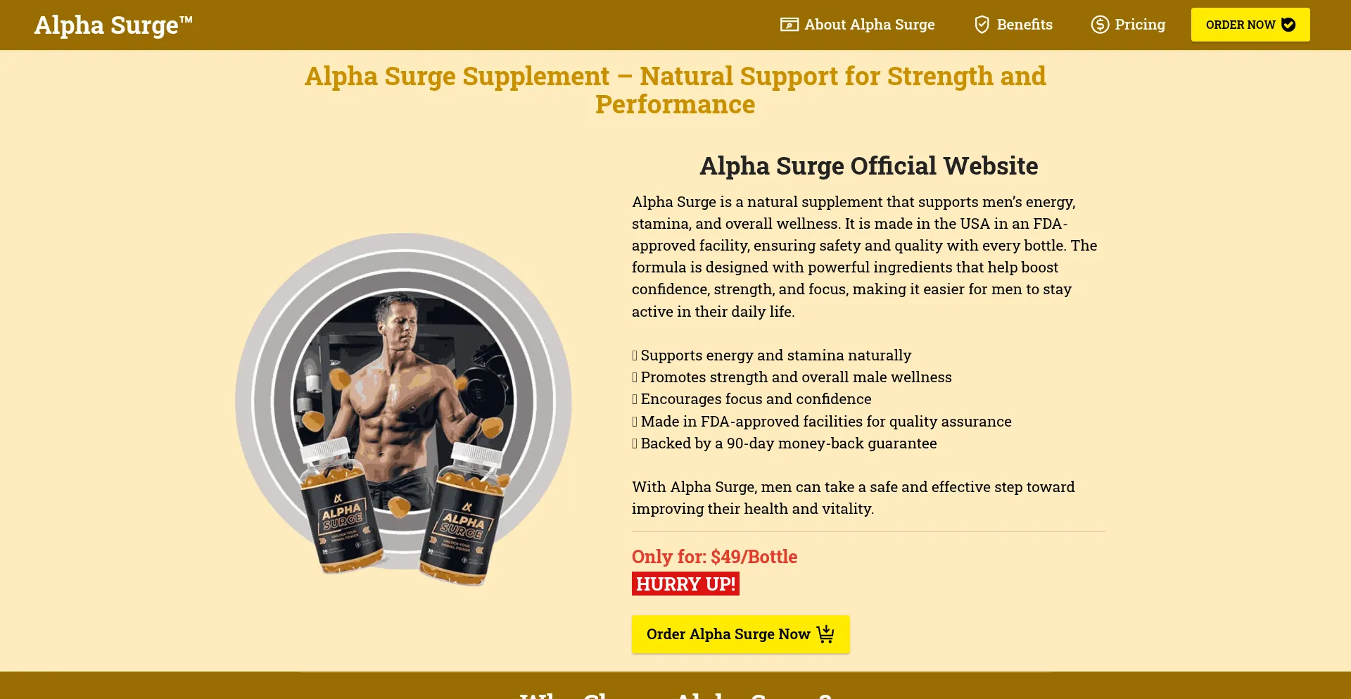 Usa-alphasurge.us est-il Sûr et Fiable ?