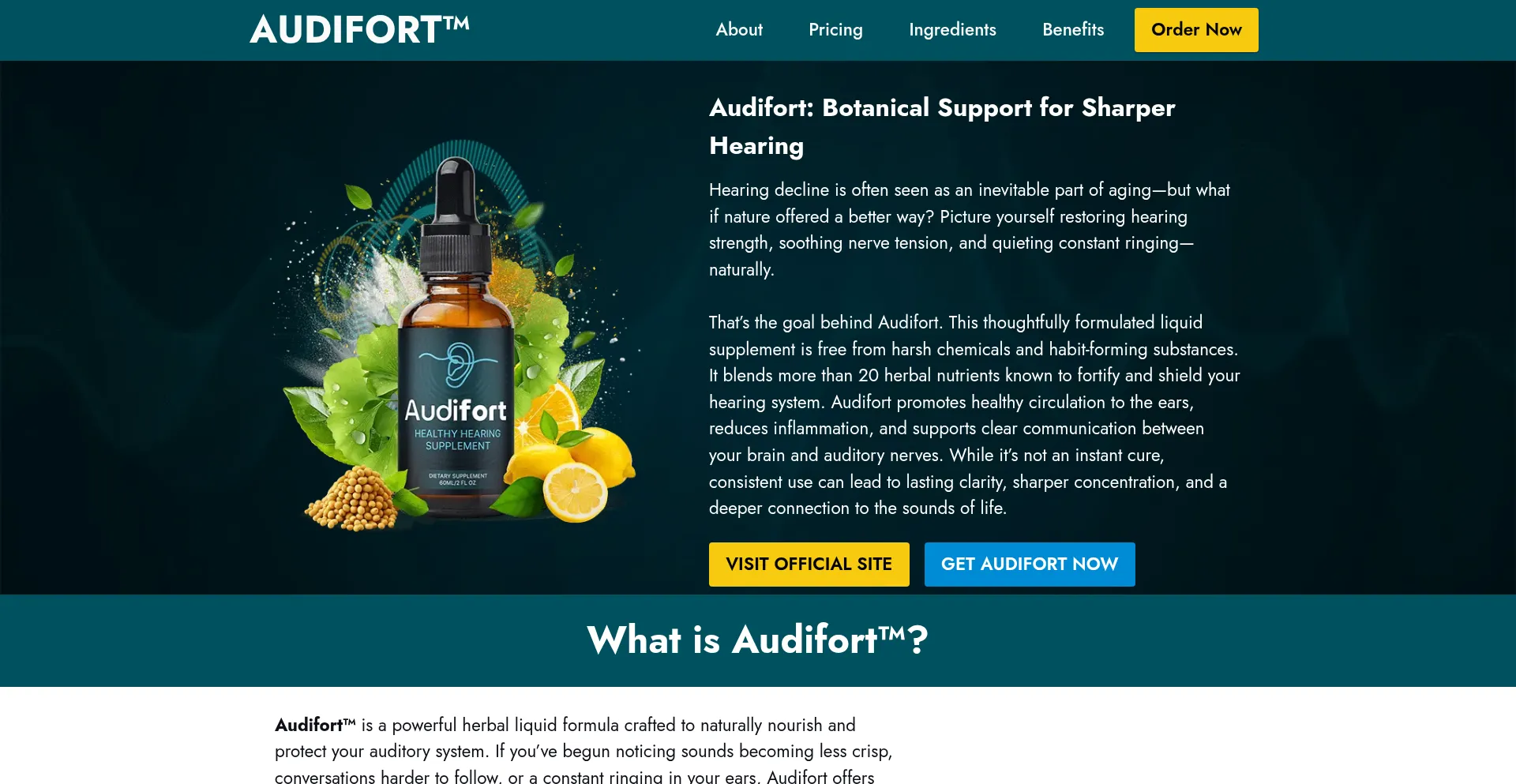 Usaudifort.com est-il Sûr et Fiable ?