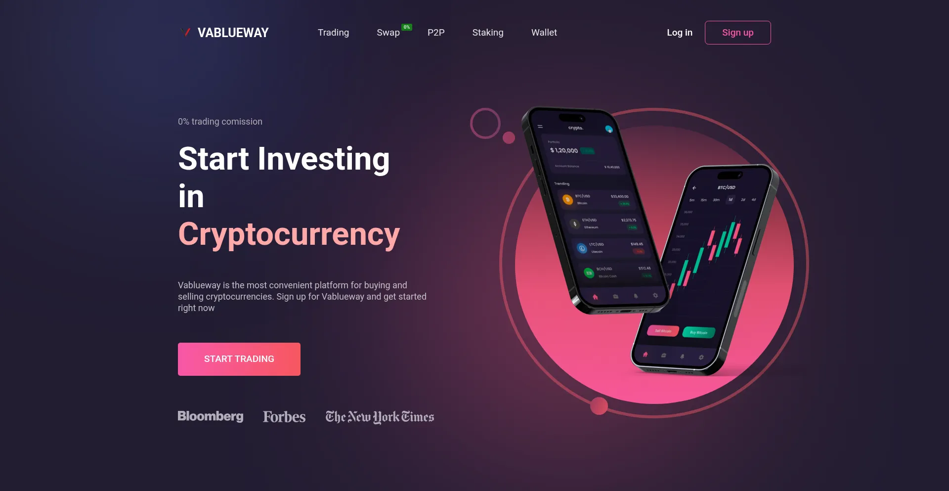 Website screenshot of Vablueway.com