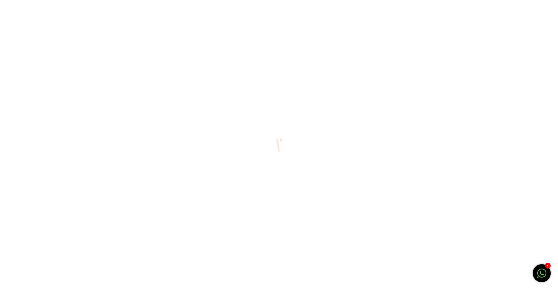Vagmiinfotech.com