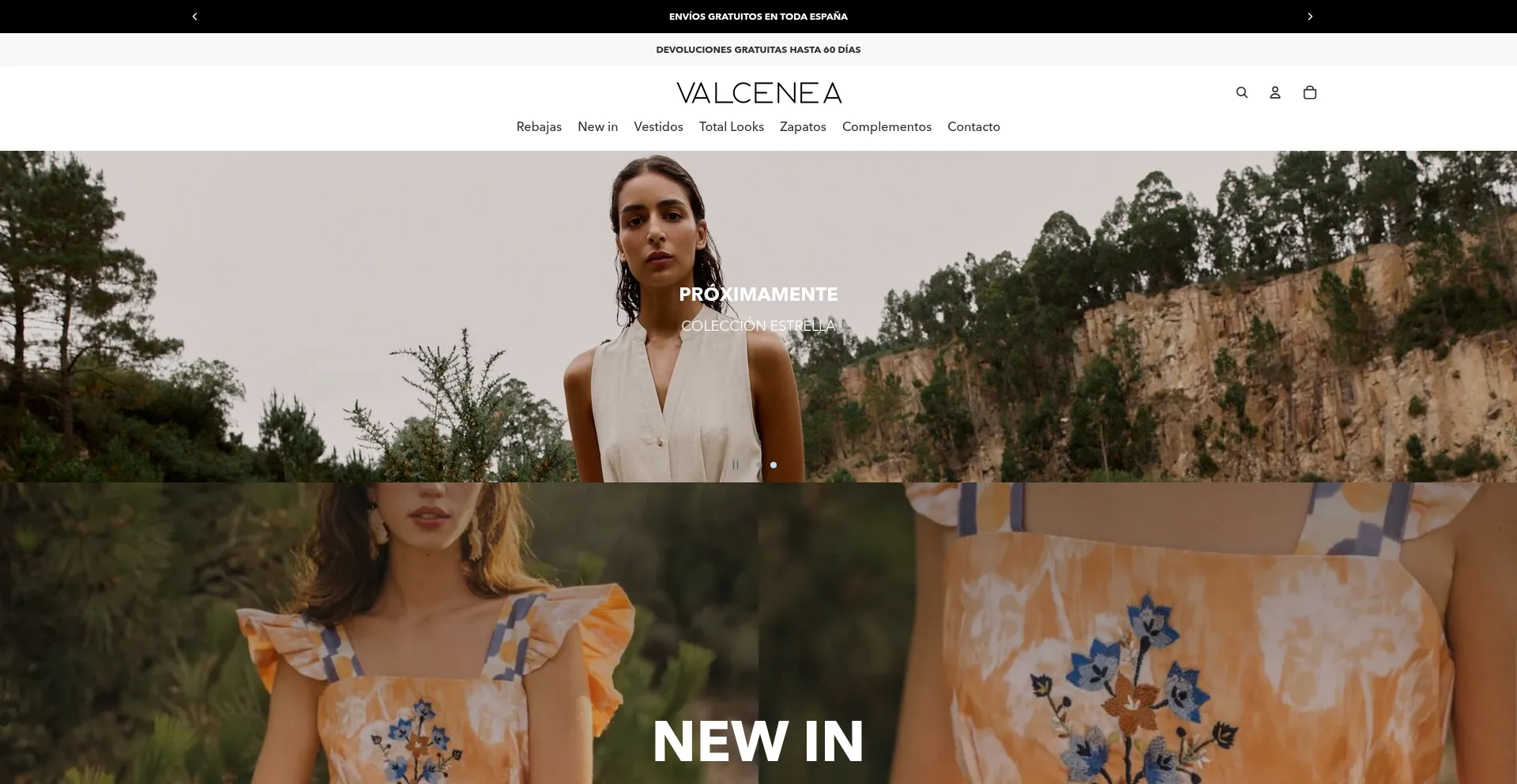 Website screenshot of Valcenea.com