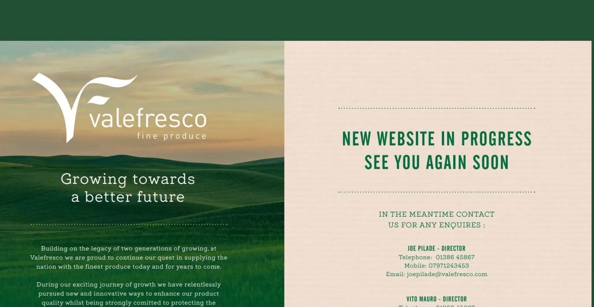 Website screenshot of Valefresco.com