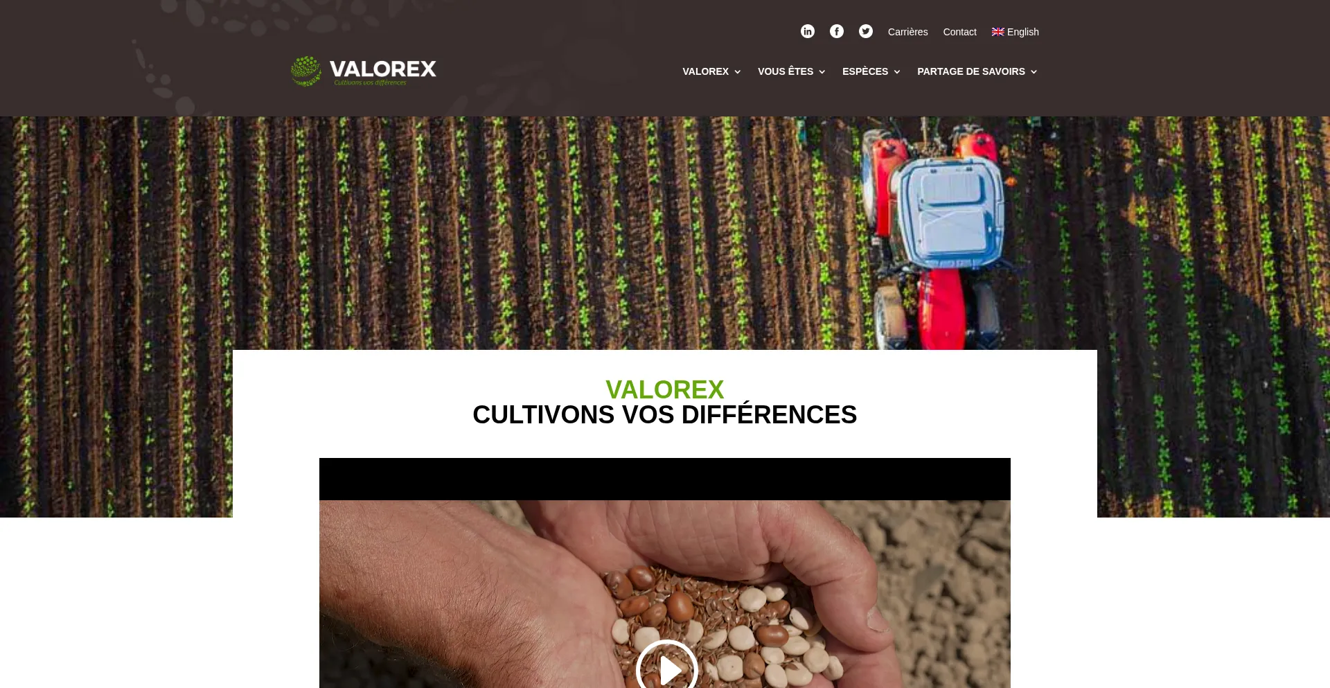 Valorex.com