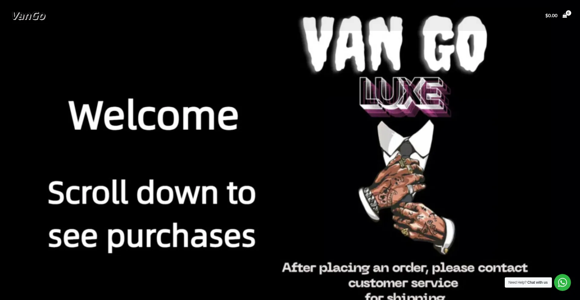 Website screenshot of Vangovg.com