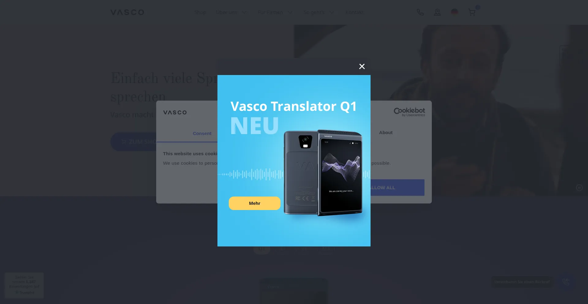 Vasco-electronics.de Screenshot
