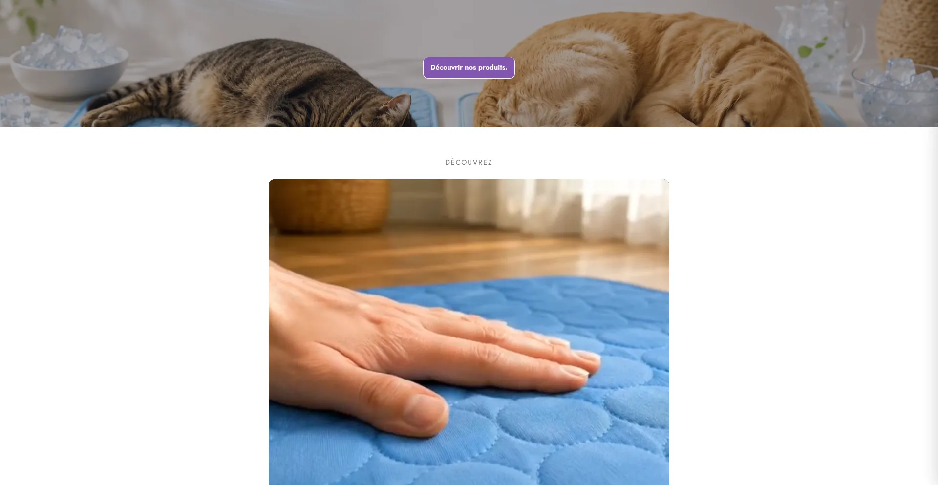 Velmorafr.com