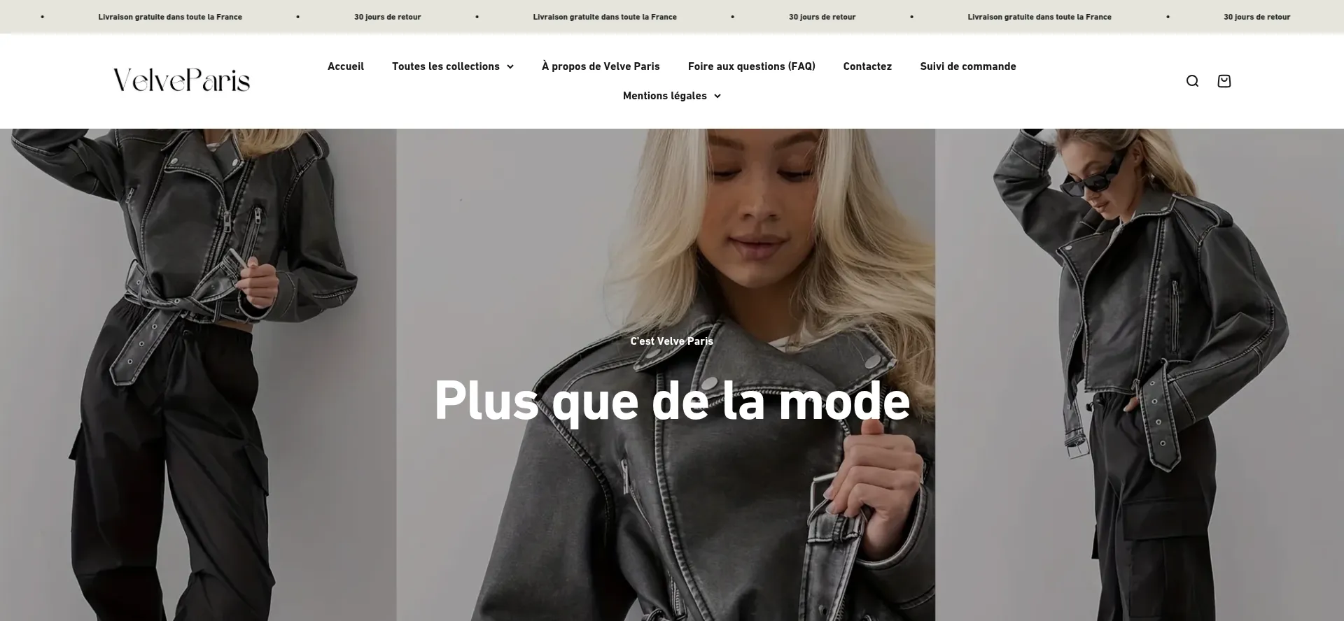 Website screenshot of Velve-paris.fr