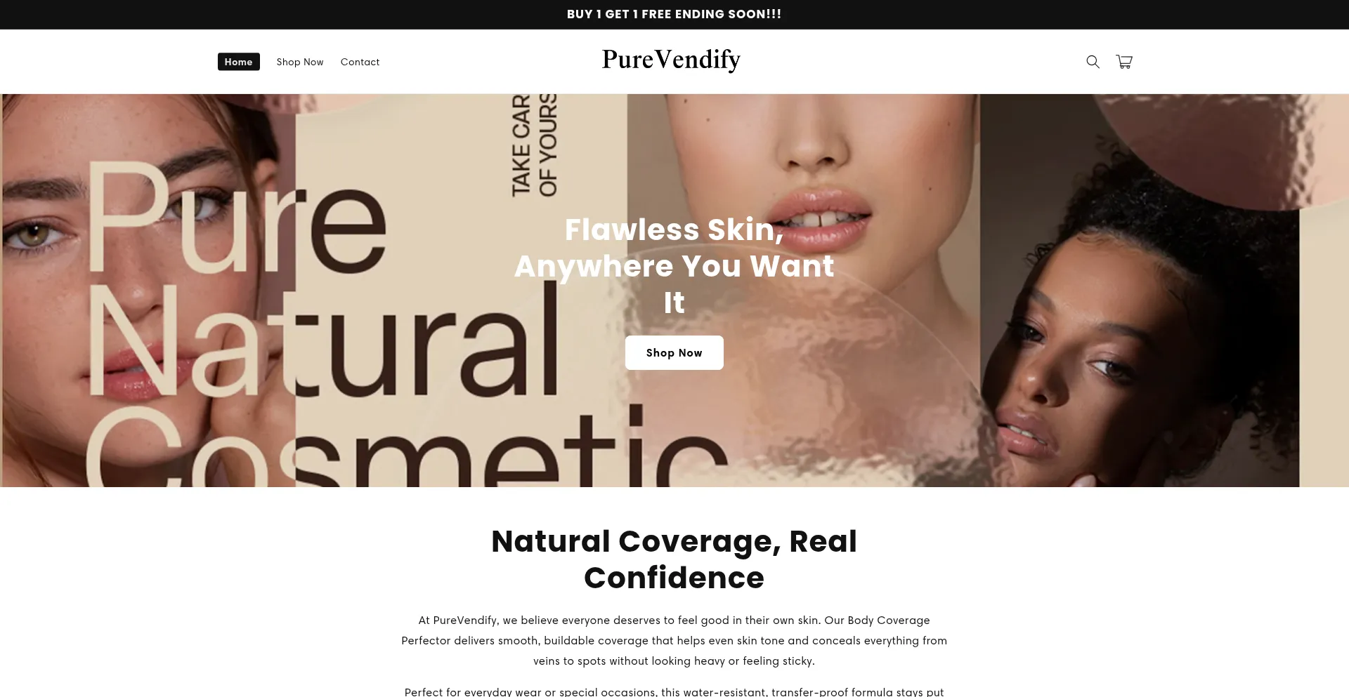 Website screenshot of Vendifyshops.com