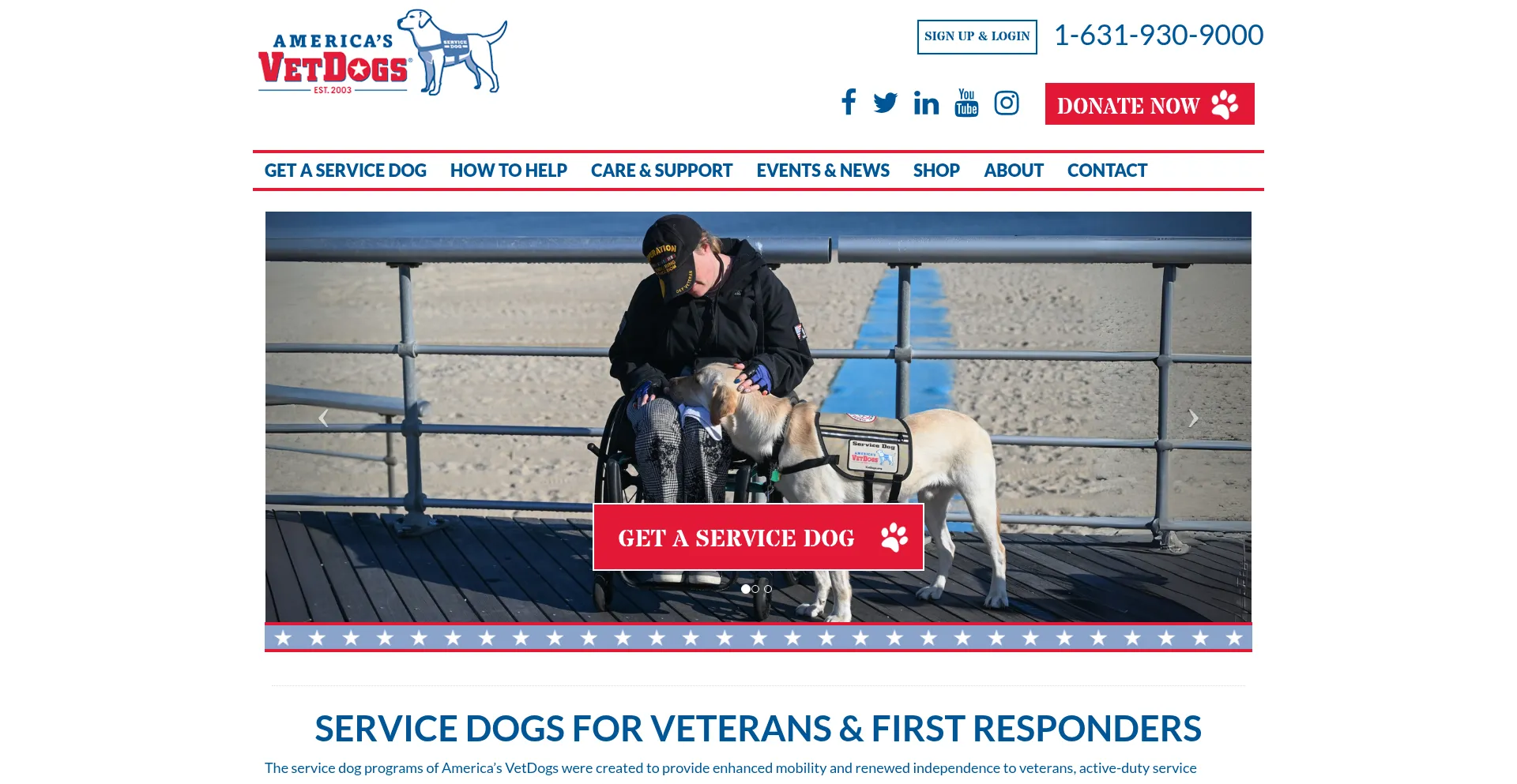 Website screenshot of Vetdogs.org