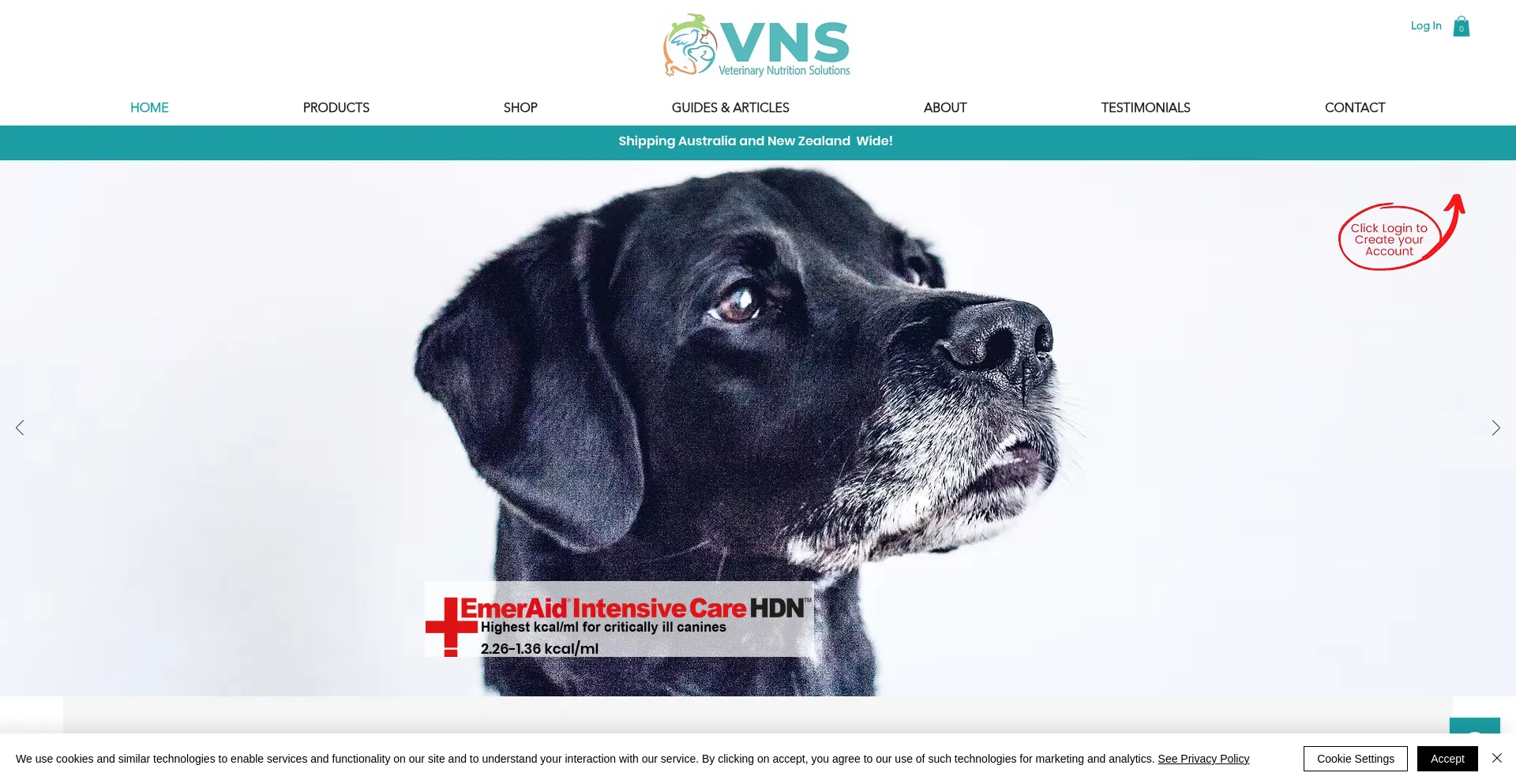 Website screenshot of Vetnutritionsolutions.com.au