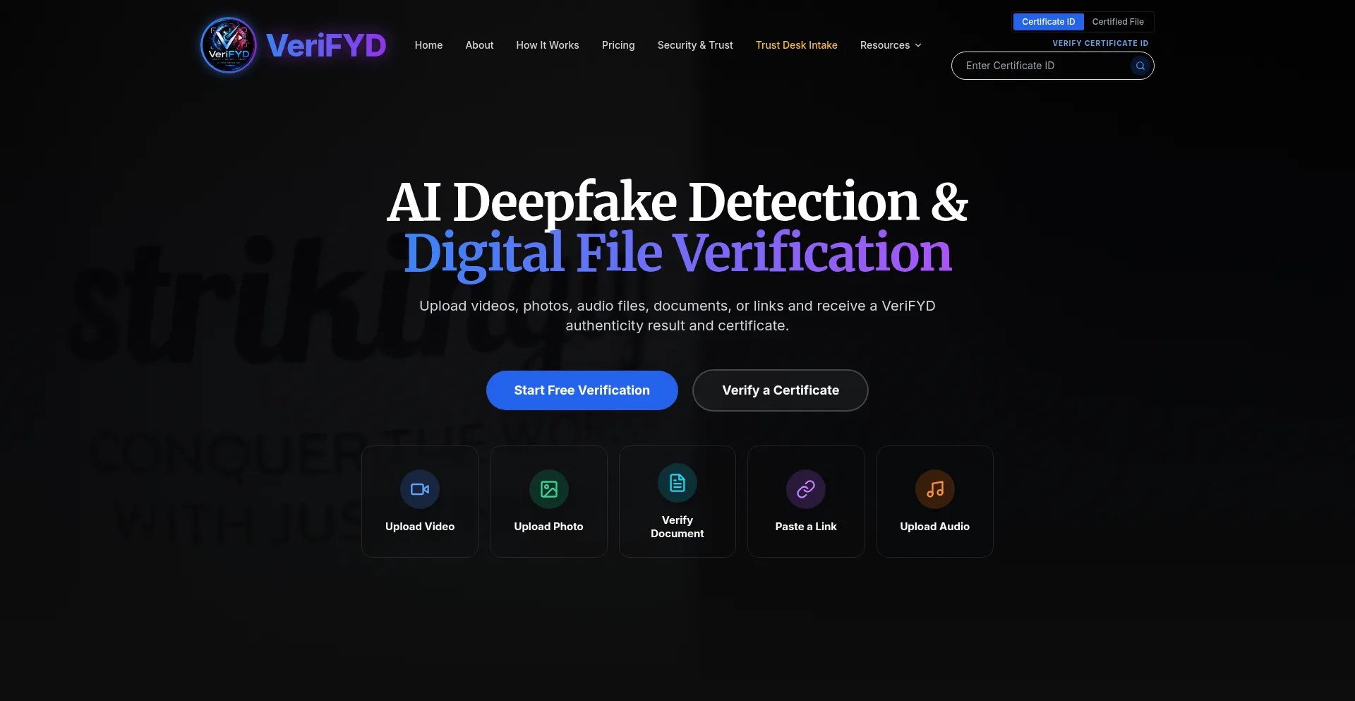 Vfvid.com