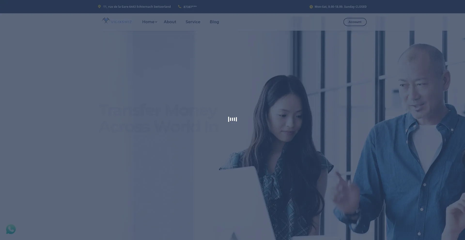 Website screenshot of Vigixswiz.com