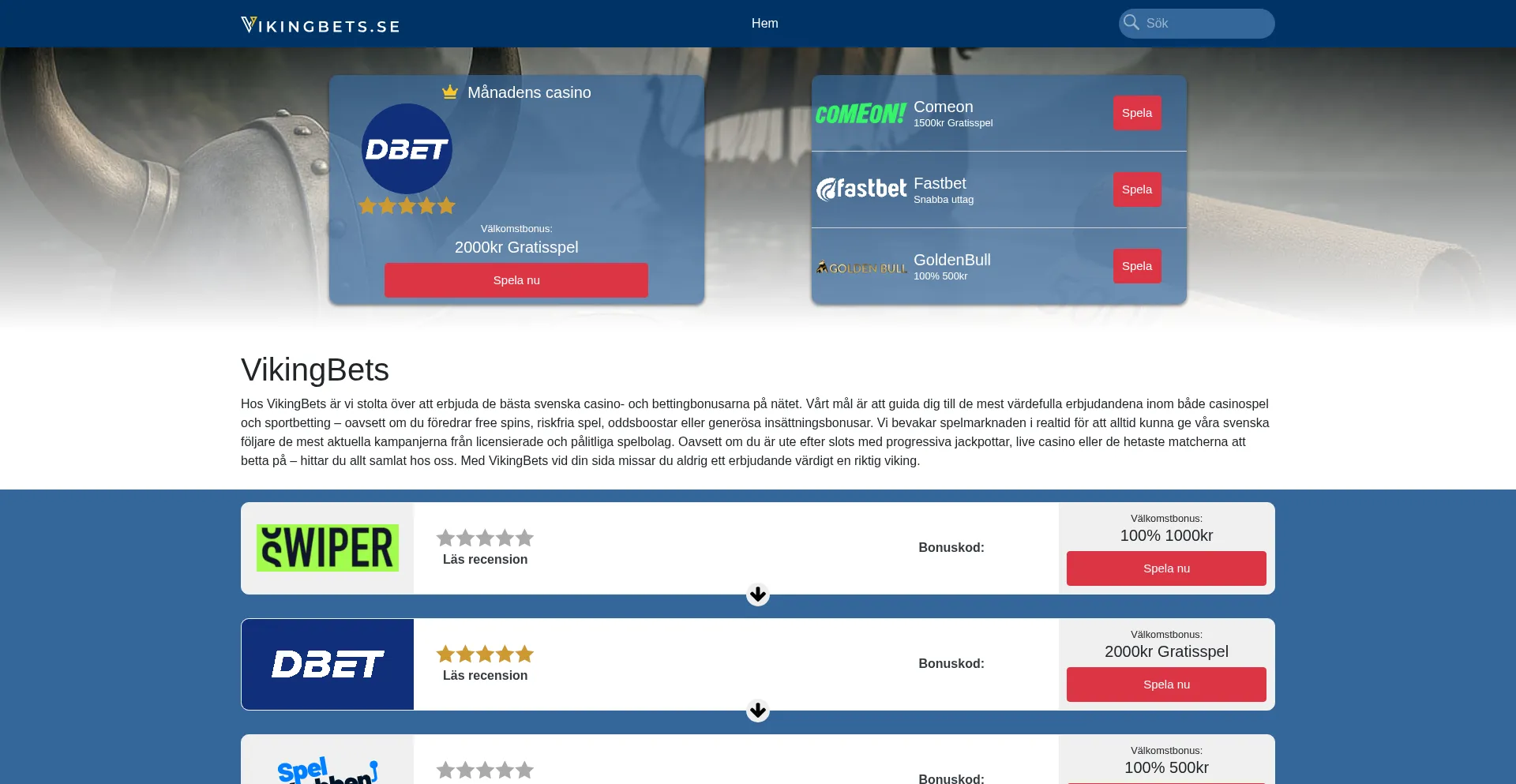 Vikingbets.se est-il Sûr et Fiable ?
